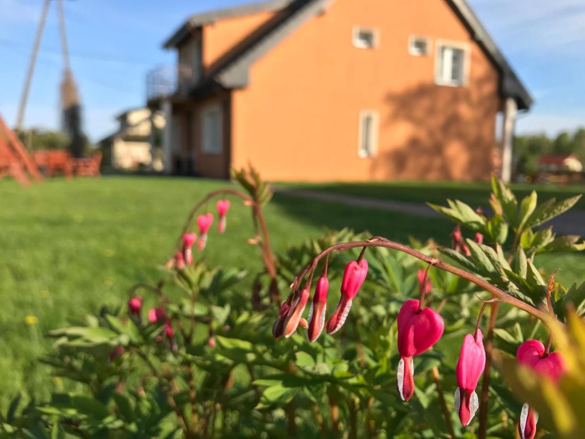 Domki Letniskowe U Marty Łeba Exterior foto